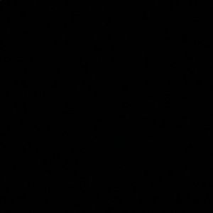 Meet your Posher, Hayden